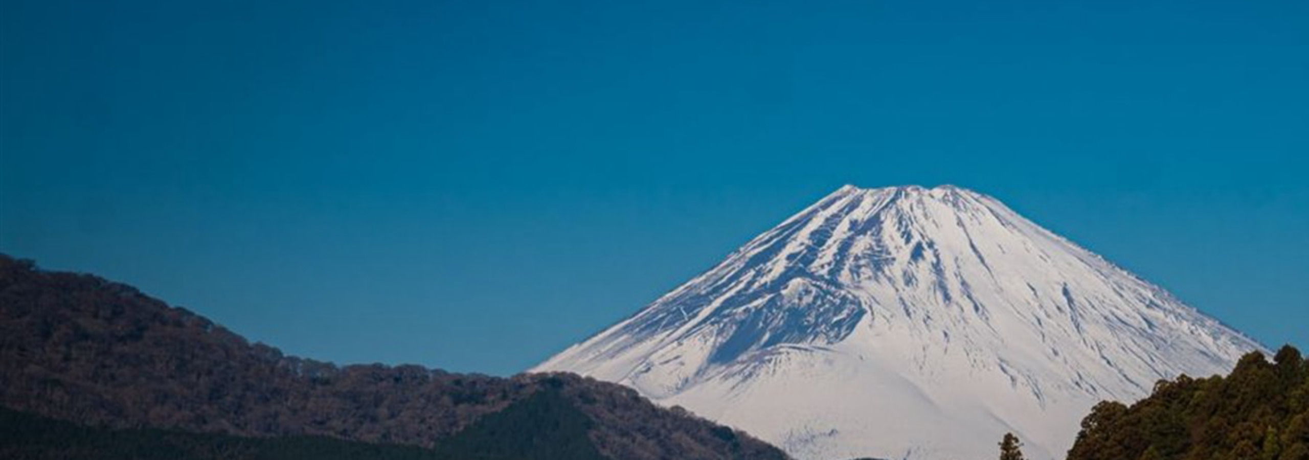 Japan Travel Guide