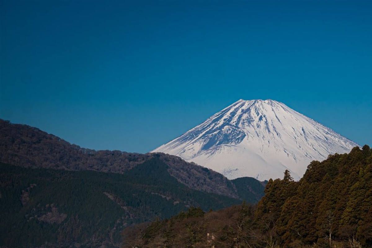 Japan Travel Guide